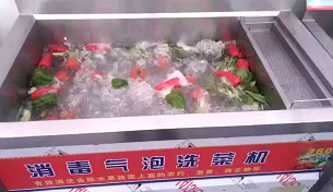 消毒氣泡洗菜機(jī)